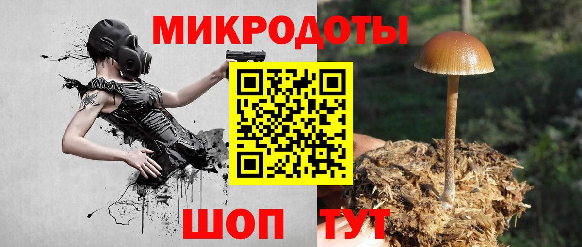 Псилоцибиновые грибы Cubensis  Галлюциногенные грибы MAGIC MUSHROOMS  Вход с VPN  Саров 
