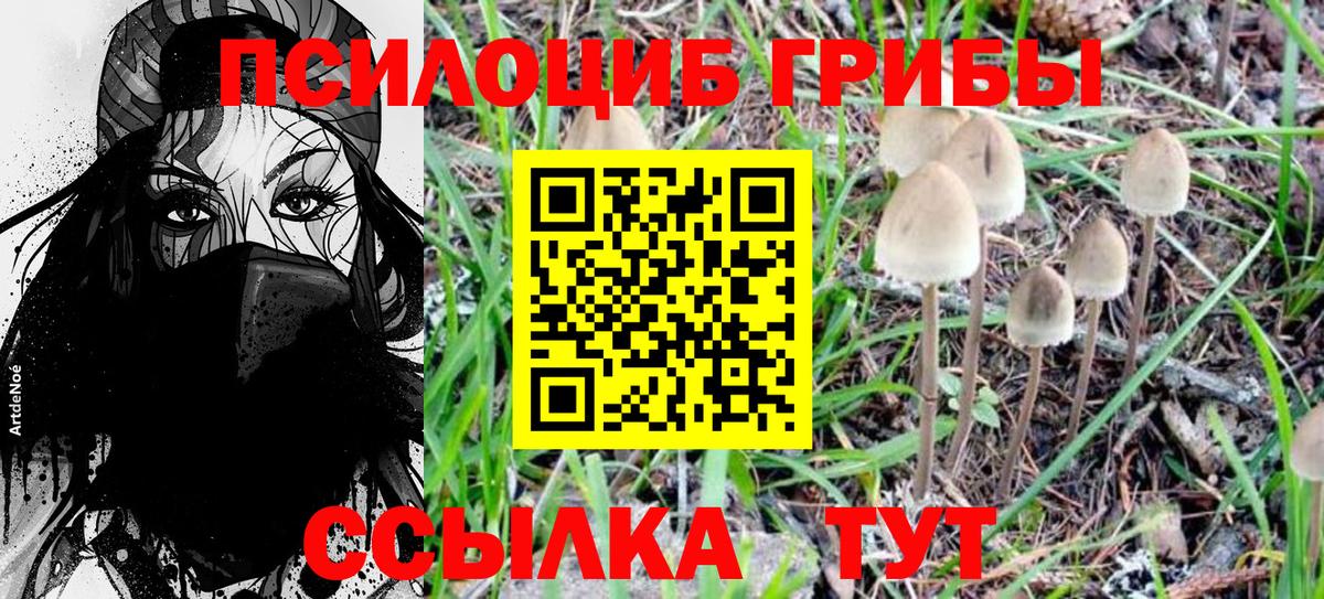 Галлюциногенные грибы GOLDEN TEACHER Саров